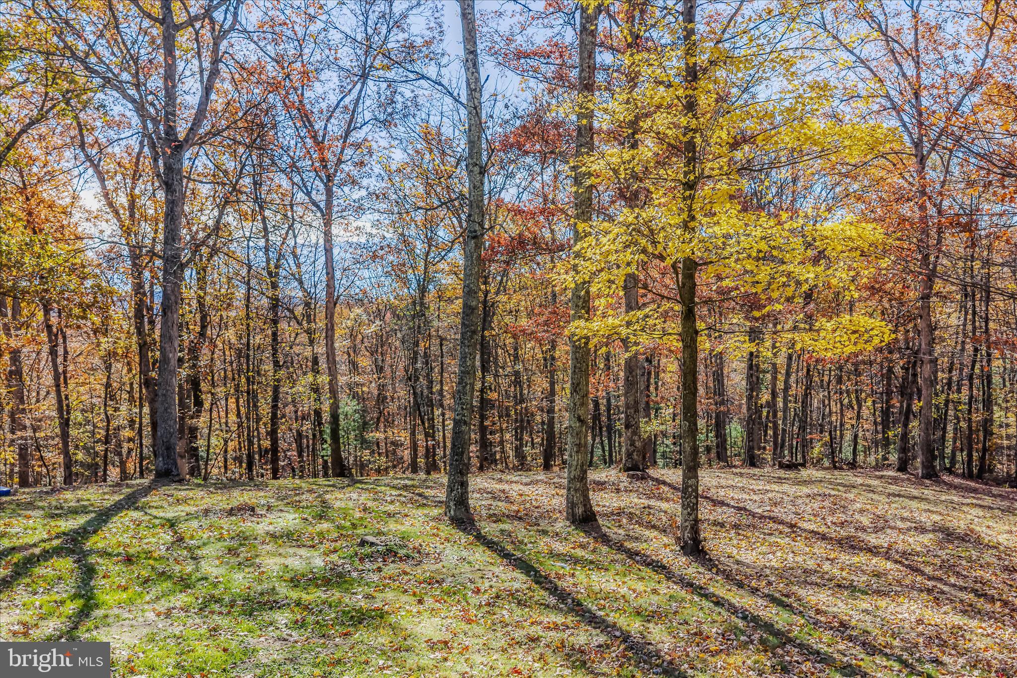 438 Gloyd Lane Great Cacapon, WV 25422 - Photo 28 of 30 a backyard of a house with trees