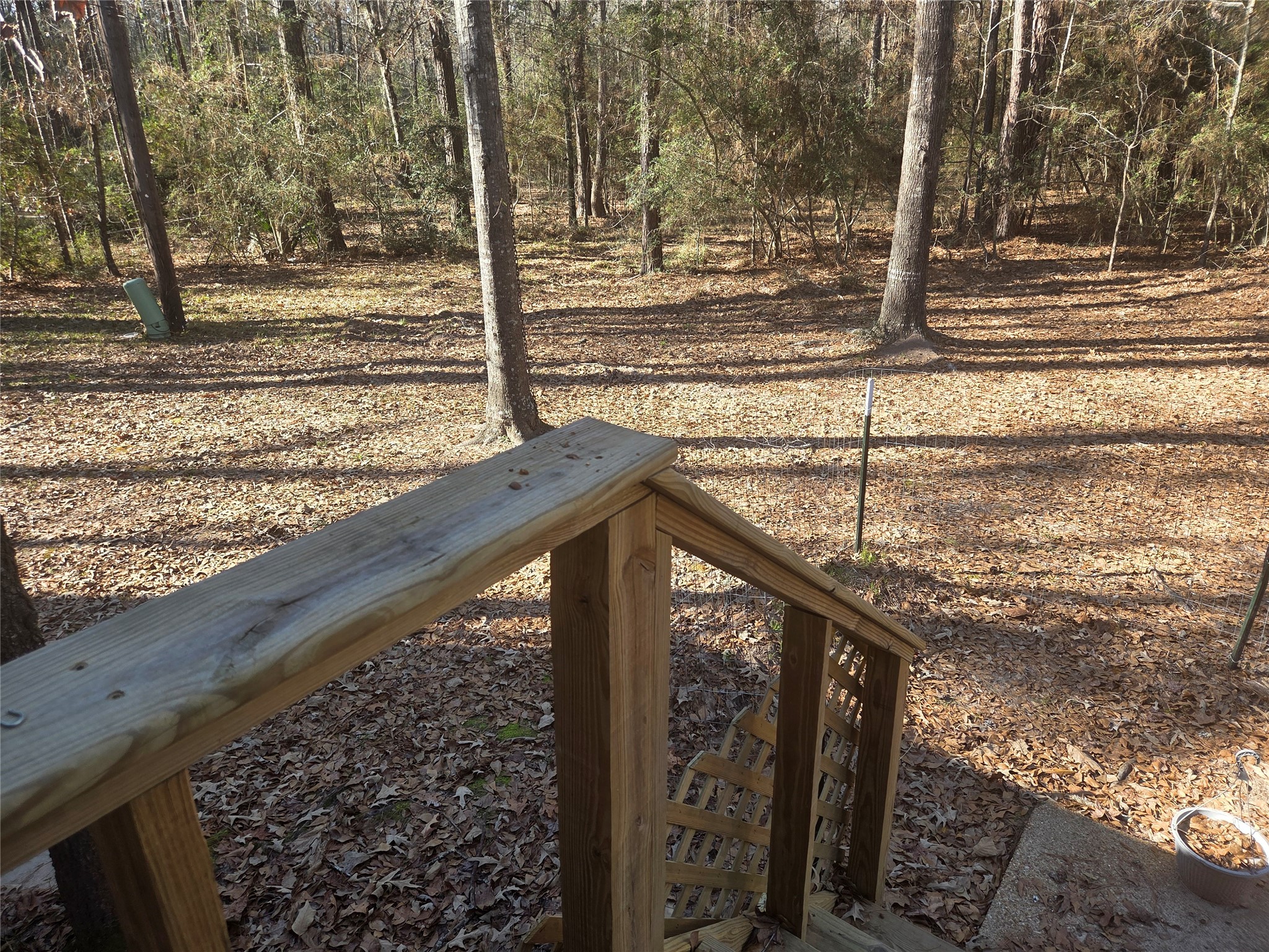 1216 Cardinal Lane Trinity, TX 75862 - Photo 26 of 27 Side door exit