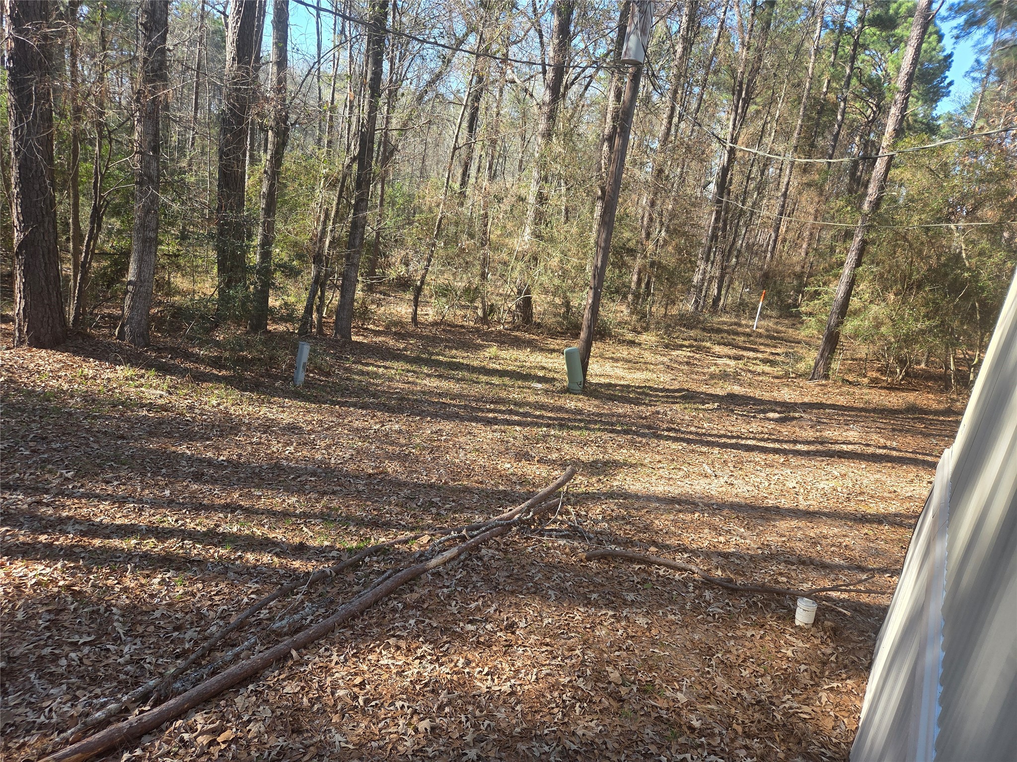 1216 Cardinal Lane Trinity, TX 75862 - Photo 27 of 27