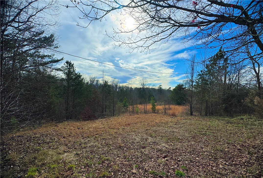 545 Edens Road Pickens, SC 29671 - Photo 12 of 22