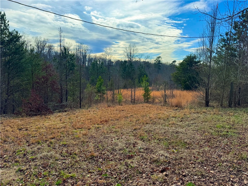 545 Edens Road Pickens, SC 29671 - Photo 13 of 22