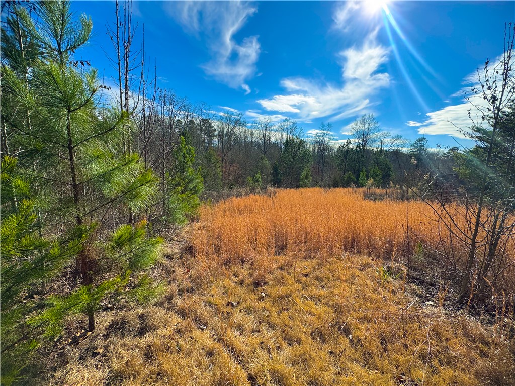 545 Edens Road Pickens, SC 29671 - Photo 14 of 22