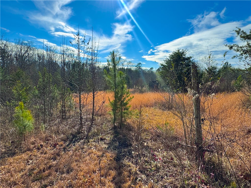 545 Edens Road Pickens, SC 29671 - Photo 15 of 22