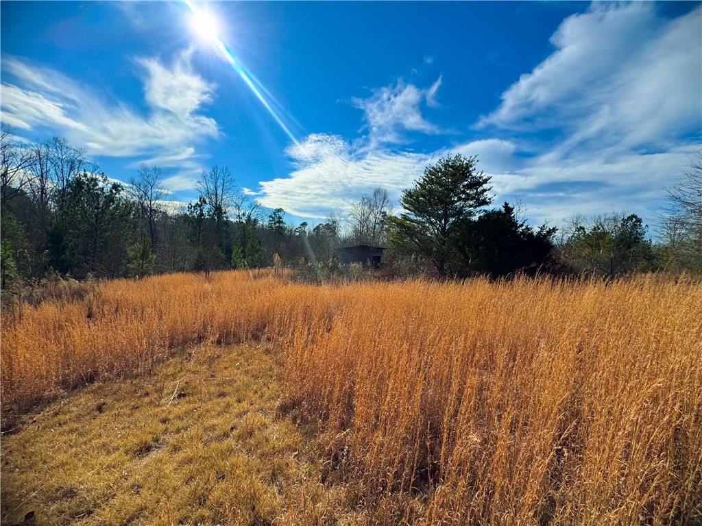 545 Edens Road Pickens, SC 29671 - Photo 16 of 22
