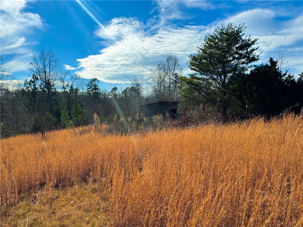 545 Edens Road Pickens, SC 29671 - Photo 17 of 22