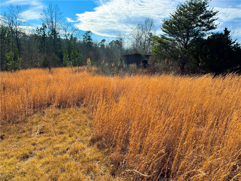 545 Edens Road Pickens, SC 29671 - Photo 18 of 22