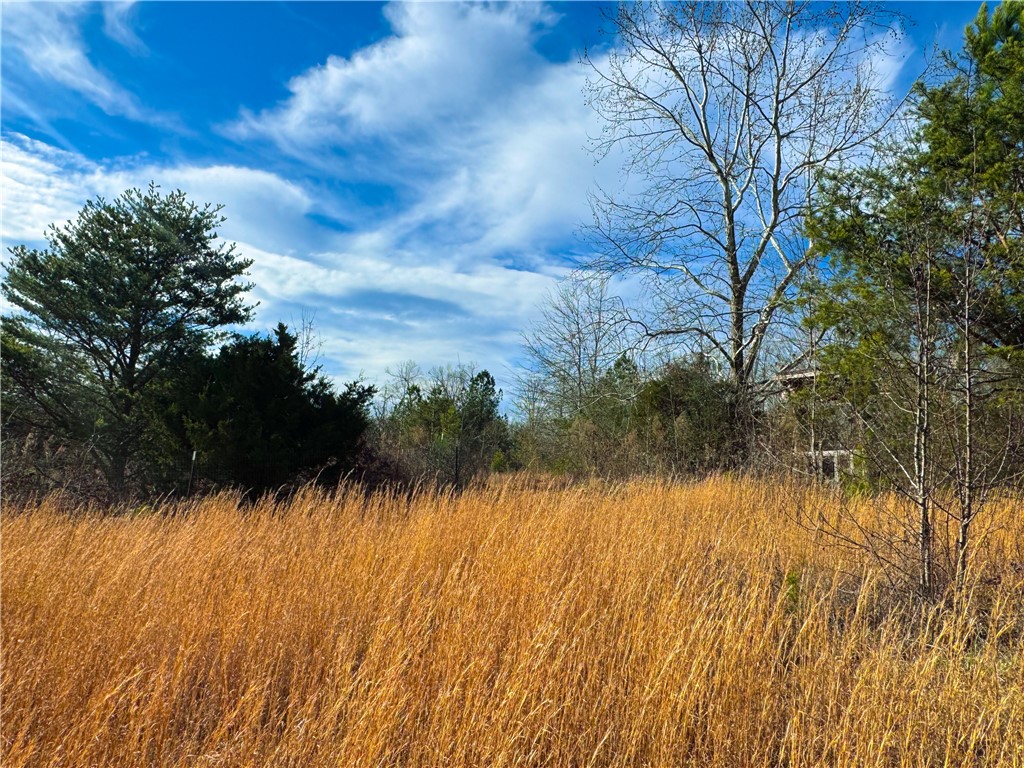 545 Edens Road Pickens, SC 29671 - Photo 19 of 22