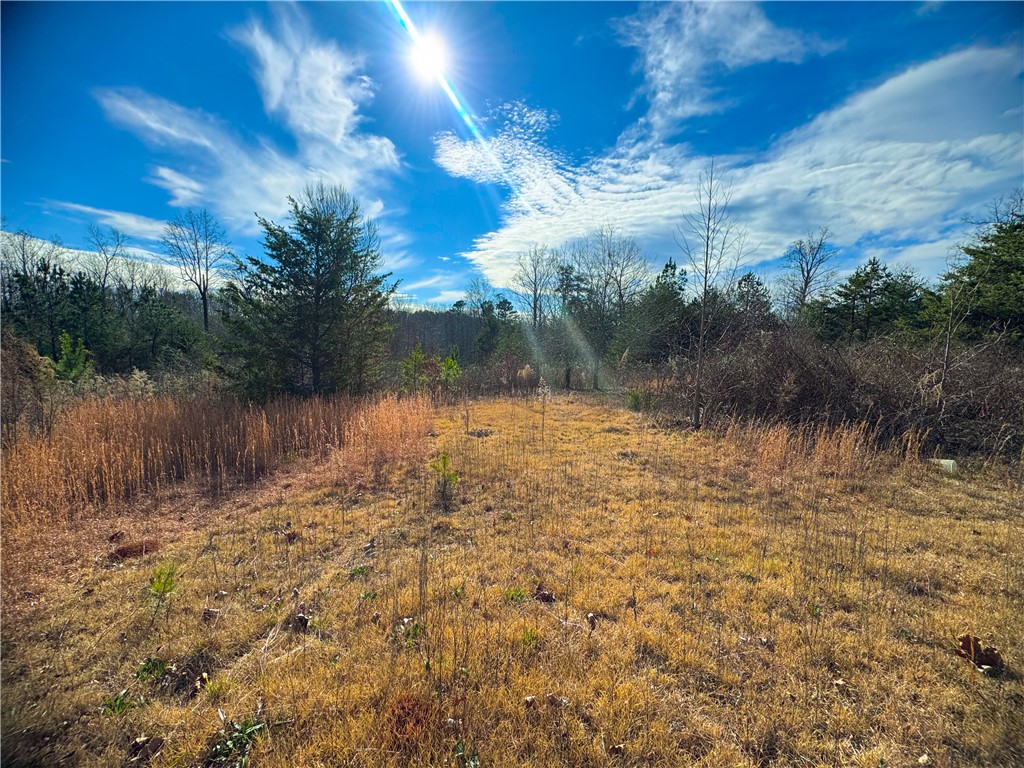 545 Edens Road Pickens, SC 29671 - Photo 20 of 22
