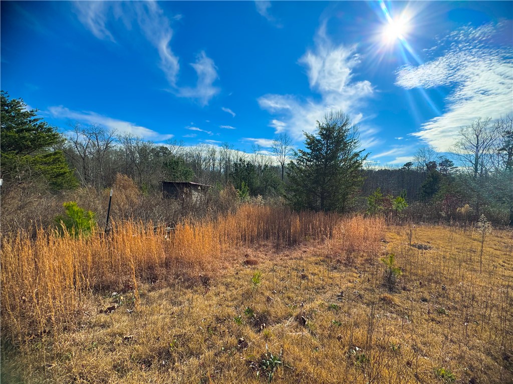 545 Edens Road Pickens, SC 29671 - Photo 21 of 22
