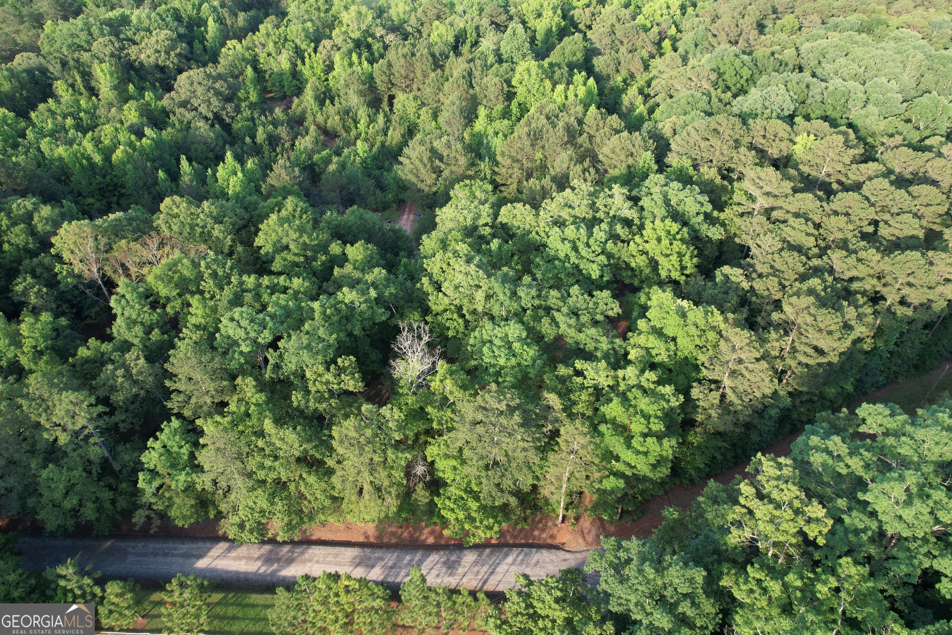 541 B Ellis Dairy Road Griffin, GA 30224 - Photo 2 of 8