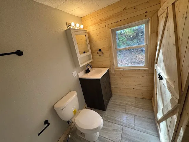 a bathroom with a sink a toilet and mirror