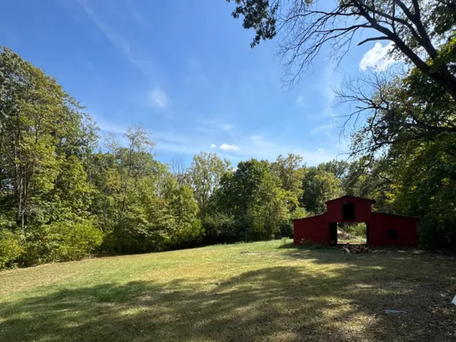 a view of a backyard with plants and a large tree