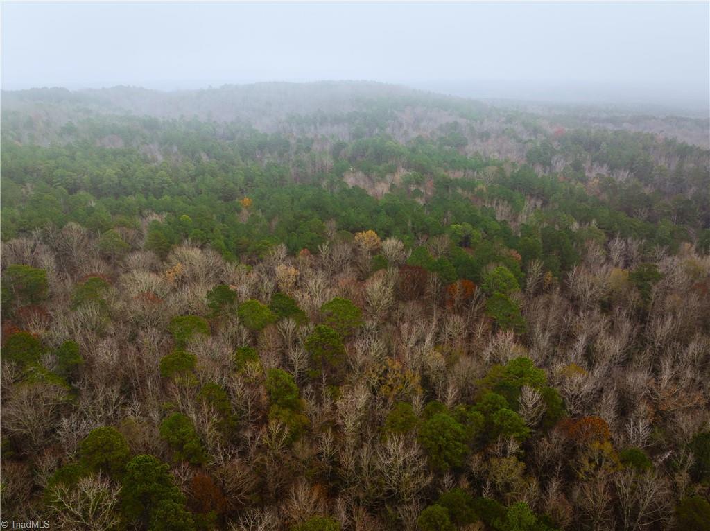 114 Lake View Pass Rockingham, NC 28379 - Photo 11 of 19