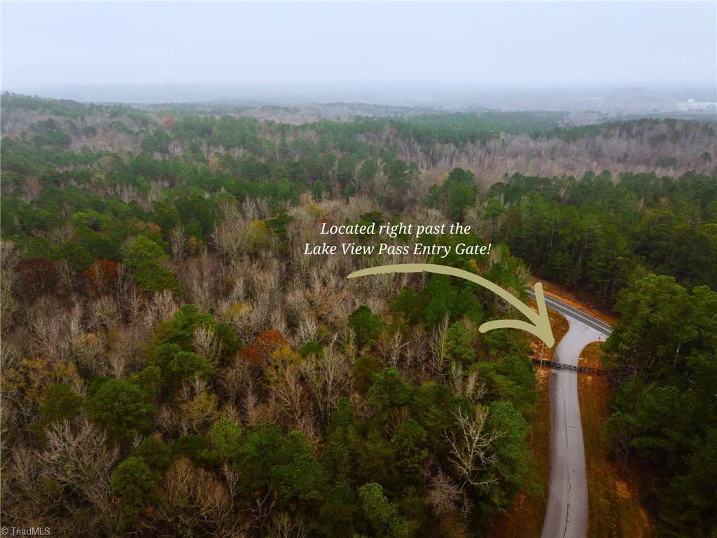 114 Lake View Pass Rockingham, NC 28379 - Photo 3 of 19