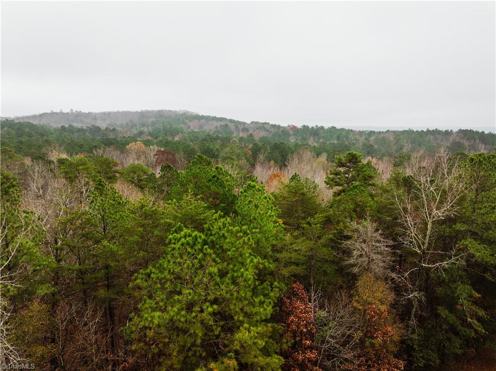 114 Lake View Pass Rockingham, NC 28379 - Photo 5 of 19