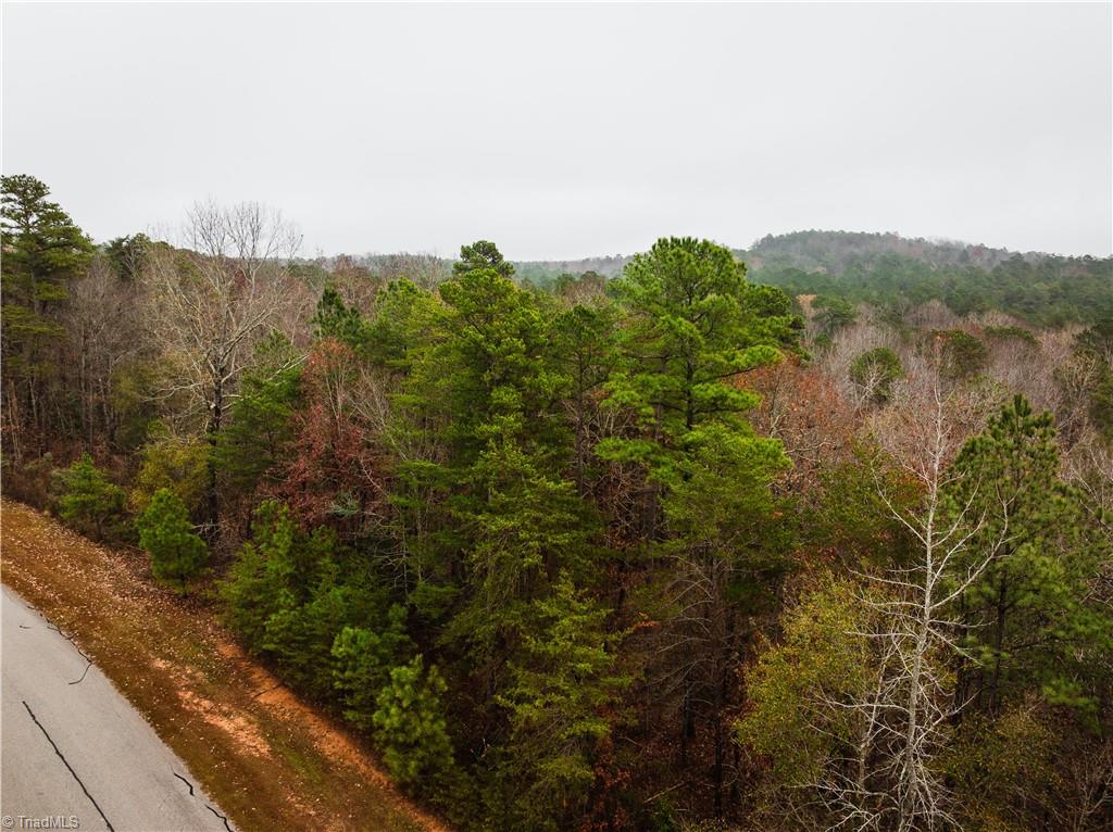114 Lake View Pass Rockingham, NC 28379 - Photo 6 of 19