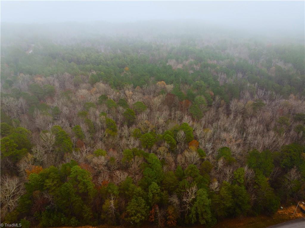 114 Lake View Pass Rockingham, NC 28379 - Photo 8 of 19