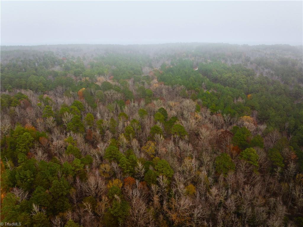 114 Lake View Pass Rockingham, NC 28379 - Photo 9 of 19