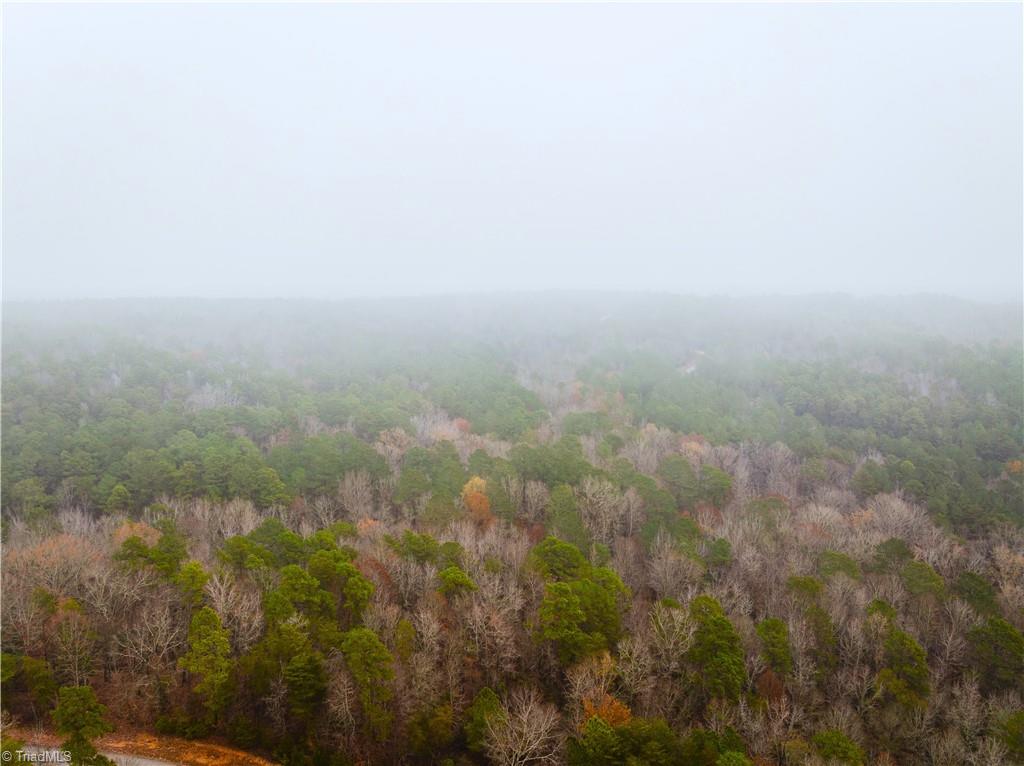 114 Lake View Pass Rockingham, NC 28379 - Photo 10 of 19