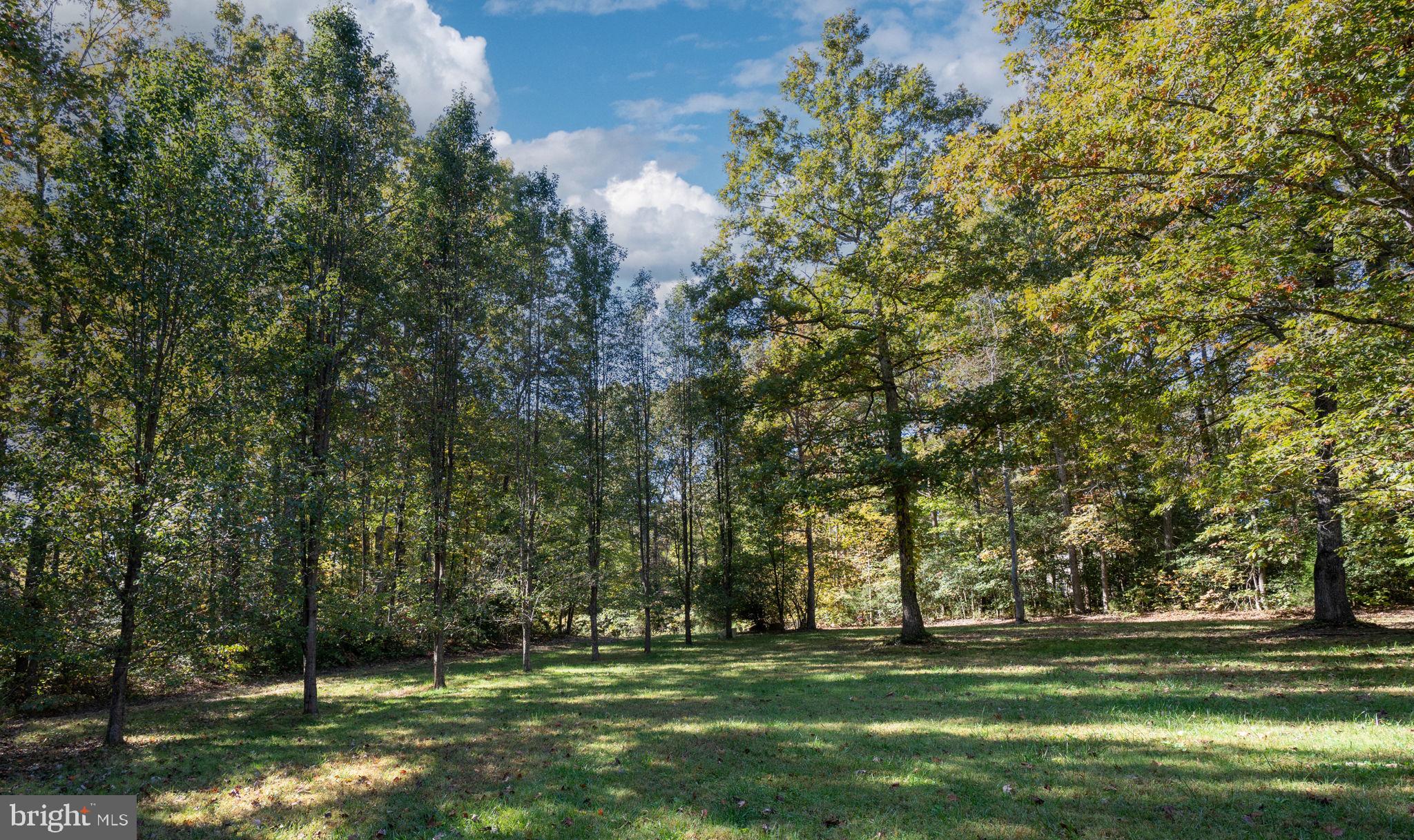 8426 Out Back Road Spotsylvania, VA 22551 - Photo 83 of 90 Gallery Image 83
