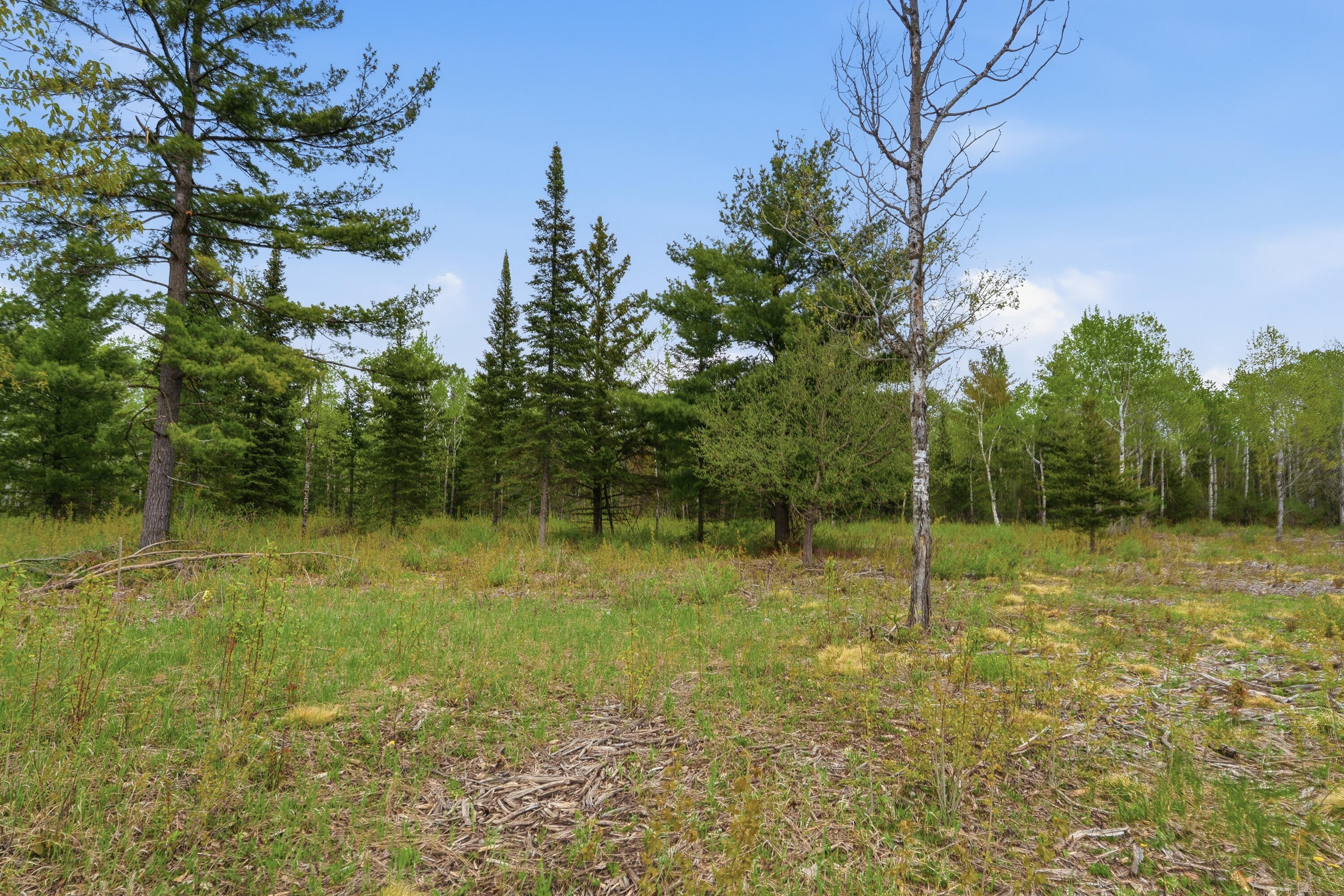 9122 Wandering Road Gibraltar, WI 54212 - Photo 6 of 27 1