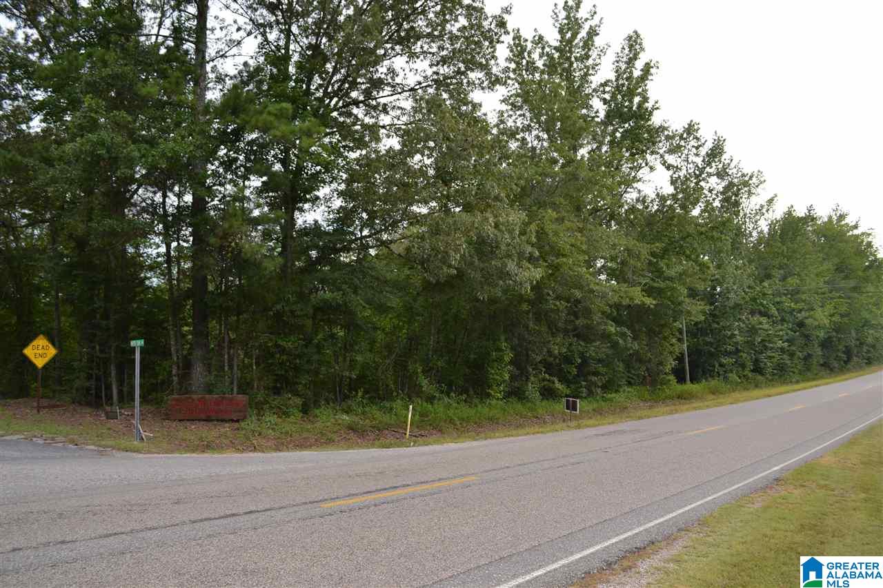 0 Water Oak Lane, Unit 39 ACRES Alpine, AL 35014 - Photo 6 of 7