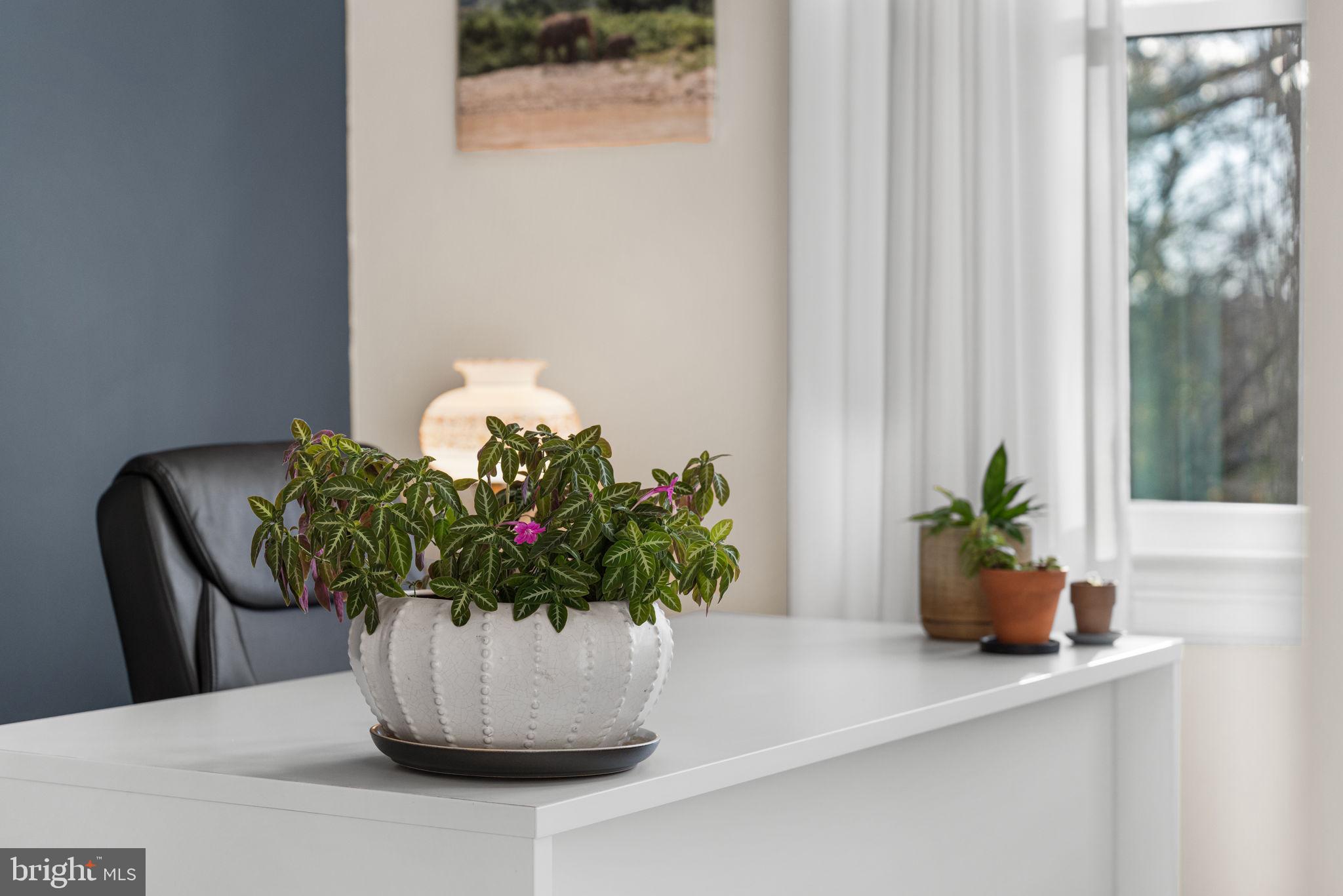 1227 Talbert Street Southeast Washington, DC 20020 - Photo 39 of 64 a view of a glass vase with flowers