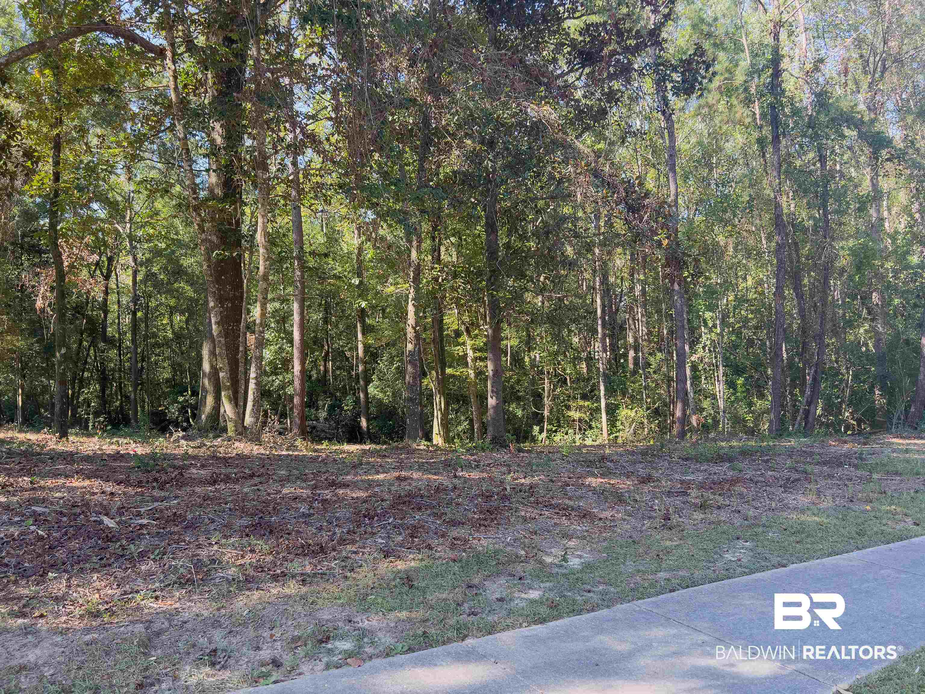 30460 Dolive Ridge Daphne, AL 36527 - Photo 1 of 12