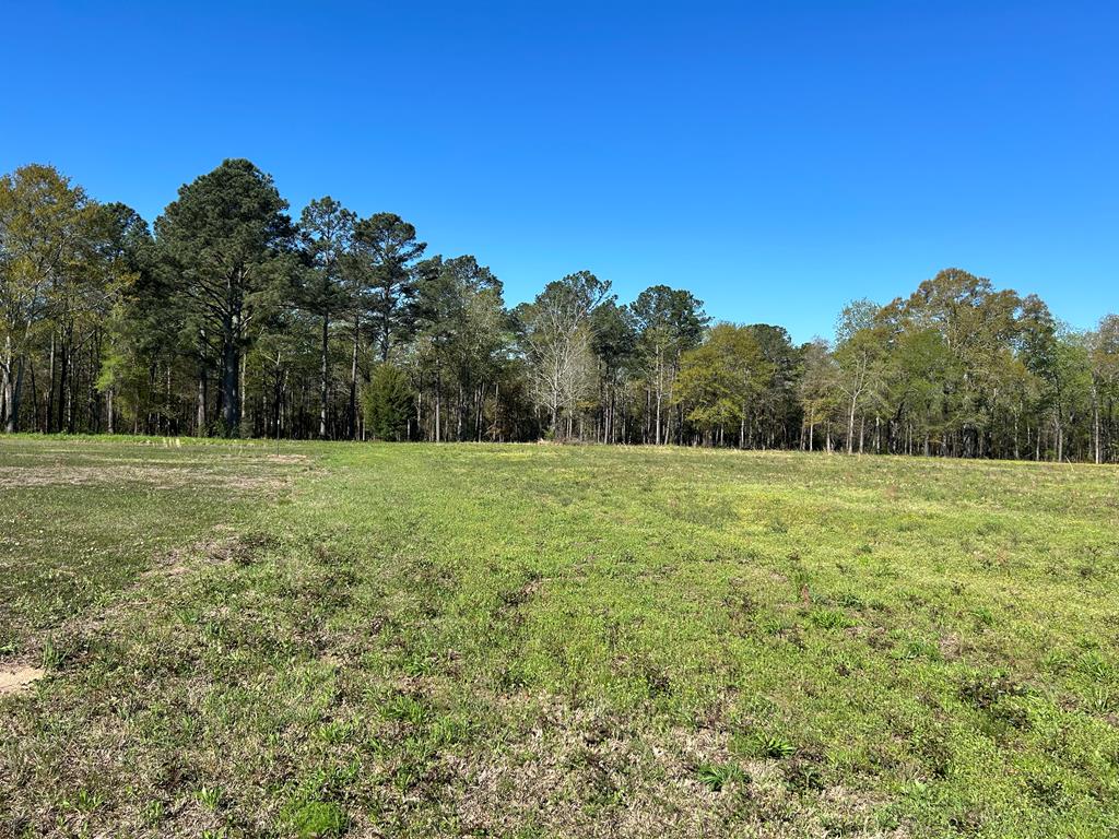 16.14-ac Lees Bridge Road Midland City, AL 36350 - Photo 1 of 28