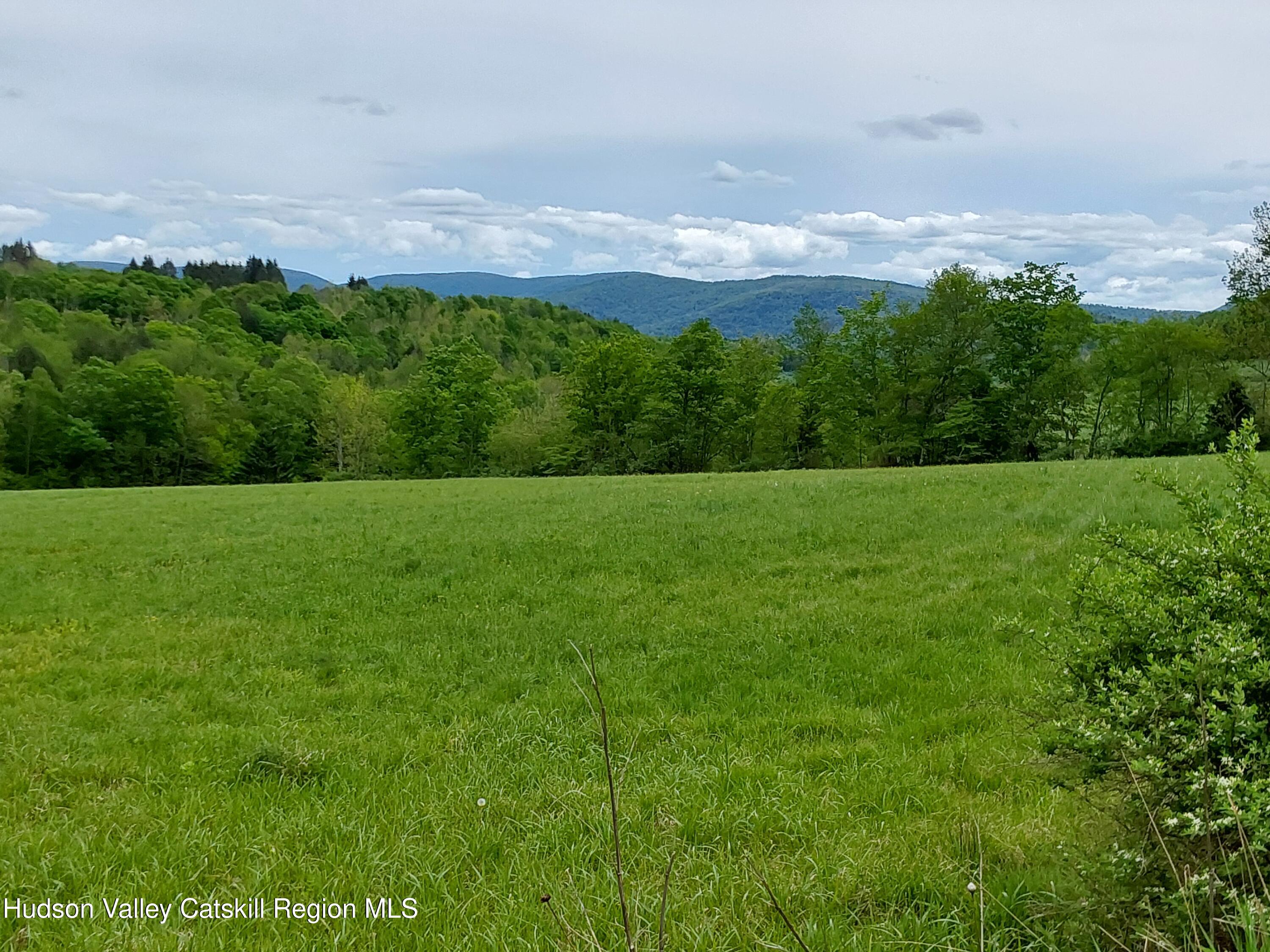 Tbd Upper Dingle Hill Road Andes, NY 13731 - Photo 1 of 44 1000000361