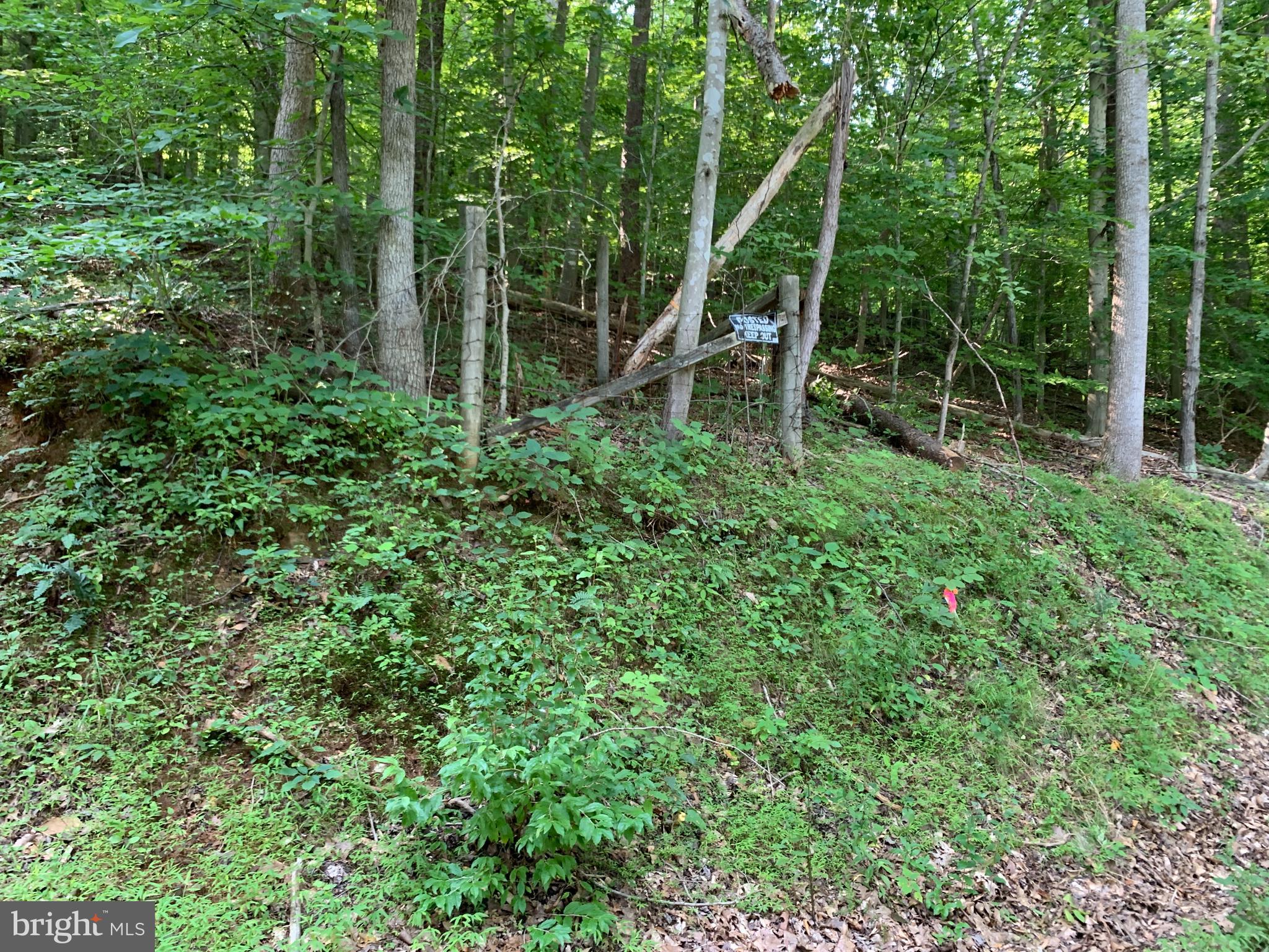 Residue Carters Run Road Marshall, VA 20115 - Photo 32 of 57 a backyard of a house with lots of green space and garden