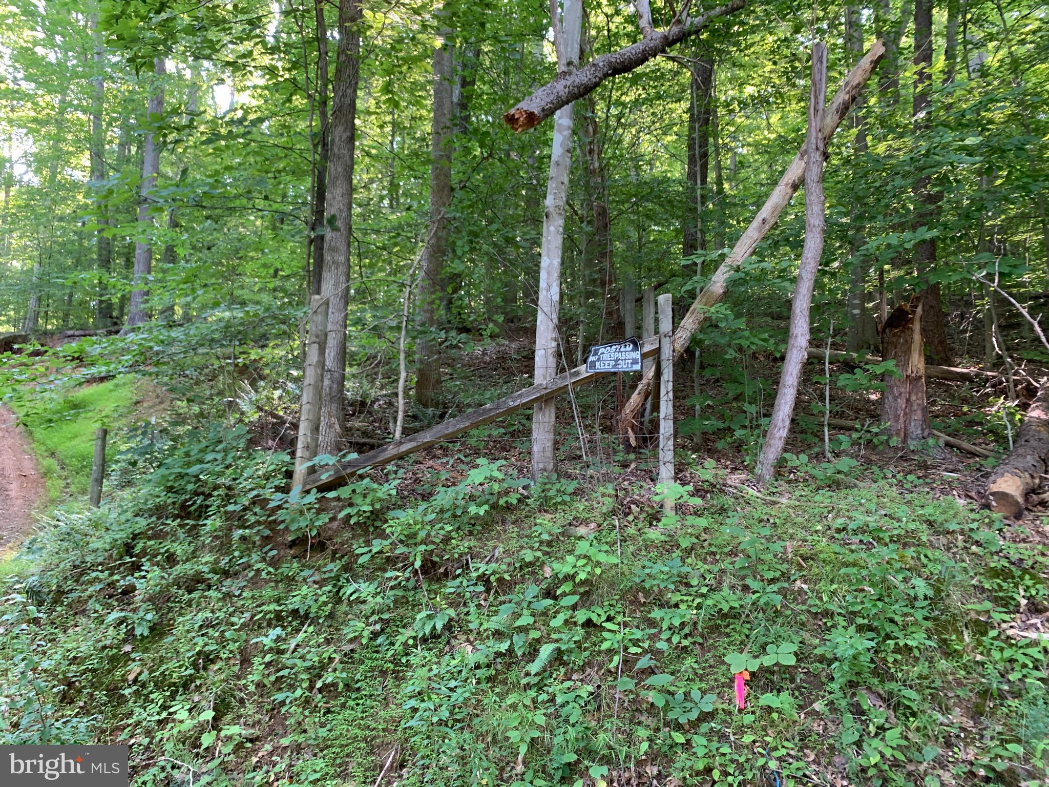 Residue Carters Run Road Marshall, VA 20115 - Photo 33 of 57 a view of a house with a backyard