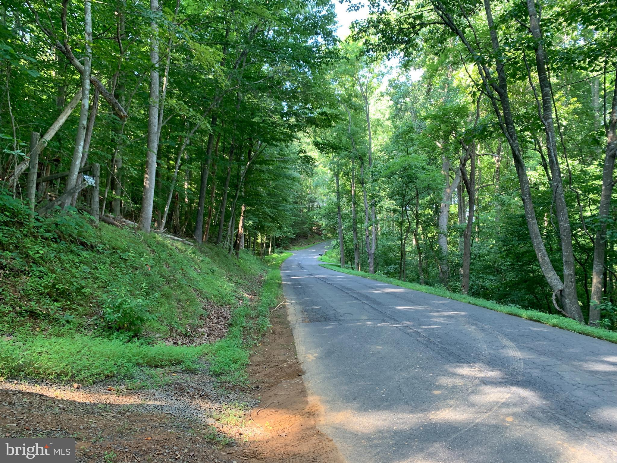 Residue Carters Run Road Marshall, VA 20115 - Photo 35 of 57 a view of a road with trees in the background