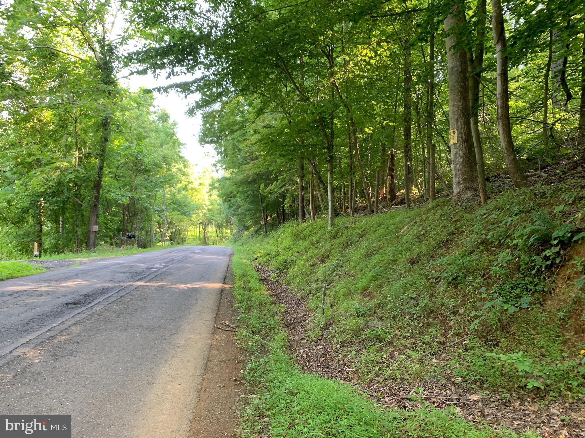 Residue Carters Run Road Marshall, VA 20115 - Photo 36 of 57 a view of a street with a trees