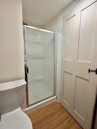 a bathroom with a shower and a toilet