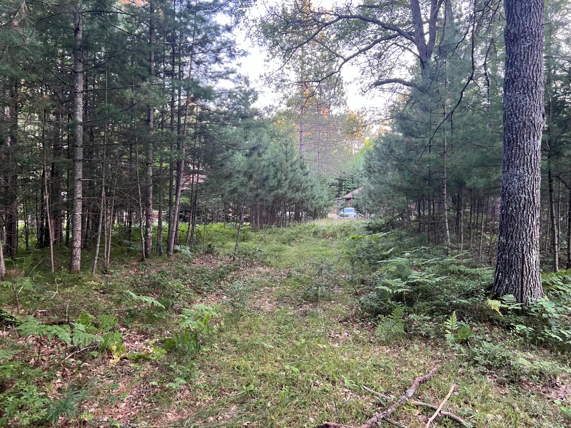 Lt 9-off North Hunter Lake Road Conover, WI 54519 - Photo 22 of 32 Gallery Image 22