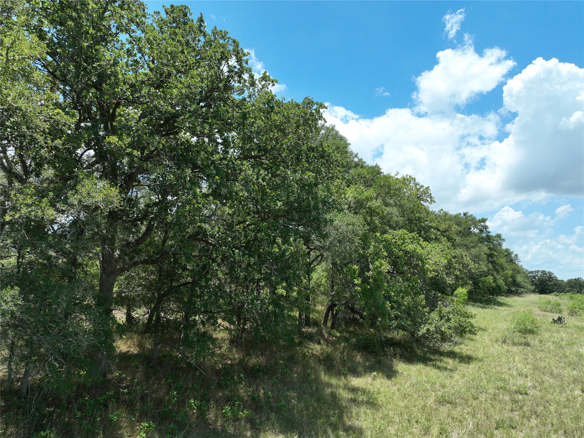 Tbd Lot 4 Tbd Road Dale, TX 78616 - Photo 15 of 24 View of undeveloped land