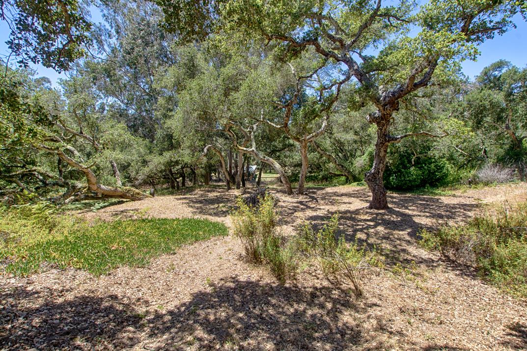 425 Echo Valley Road Salinas, CA 93907 - Photo 39 of 60