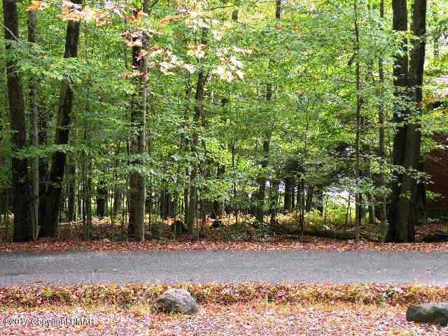 209 Selig Road Pocono Lake, PA 18347 - Photo 3 of 19 a view of a yard with plants and trees