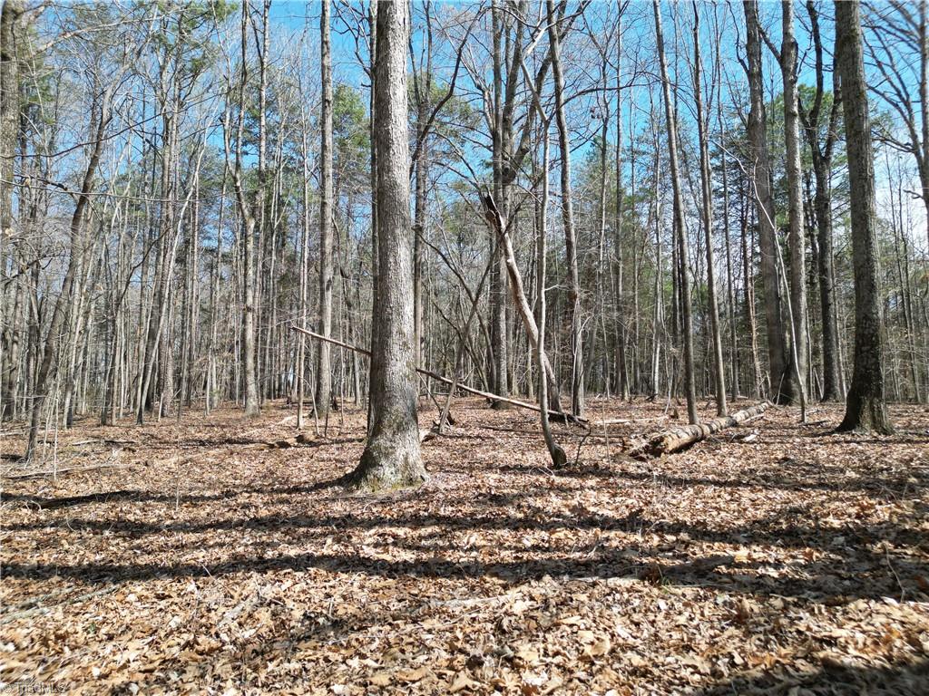 0 Tilden Nursery Road Lexington, NC 27295 - Photo 1 of 27