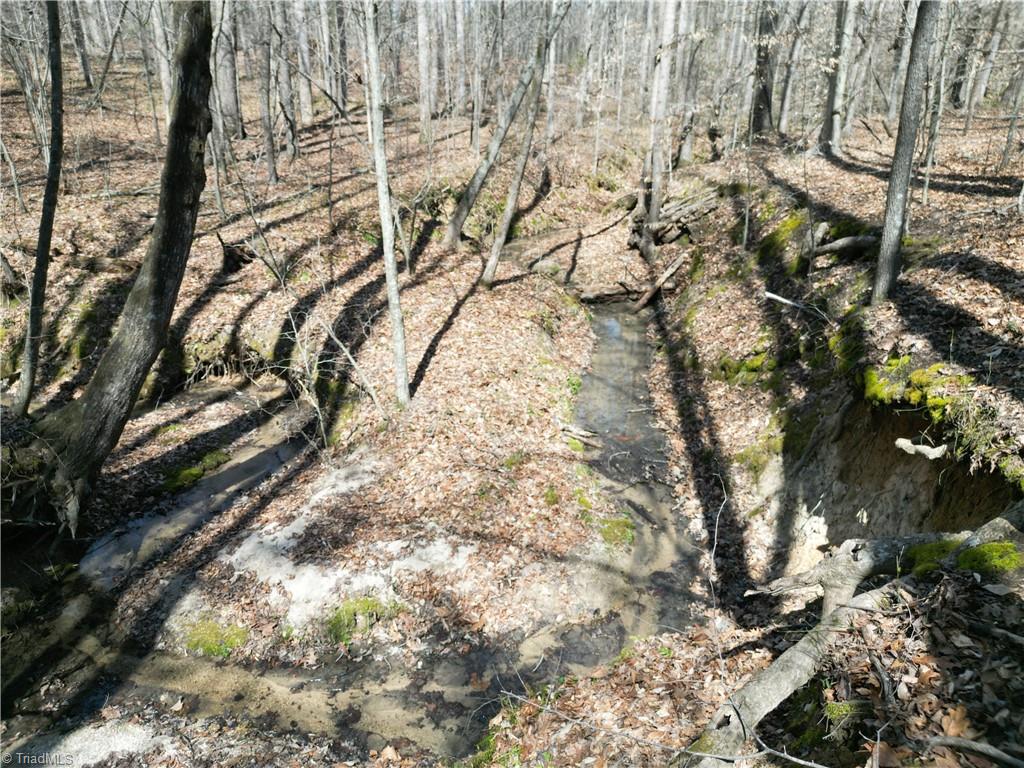 0 Tilden Nursery Road Lexington, NC 27295 - Photo 11 of 27