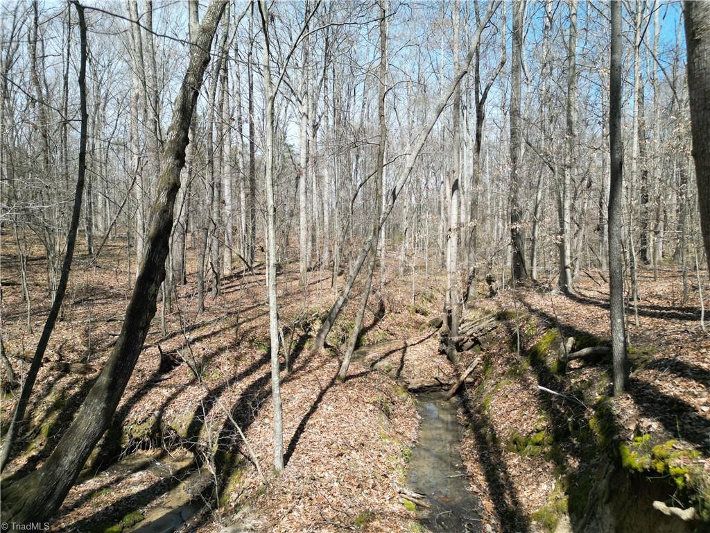 0 Tilden Nursery Road Lexington, NC 27295 - Photo 12 of 27