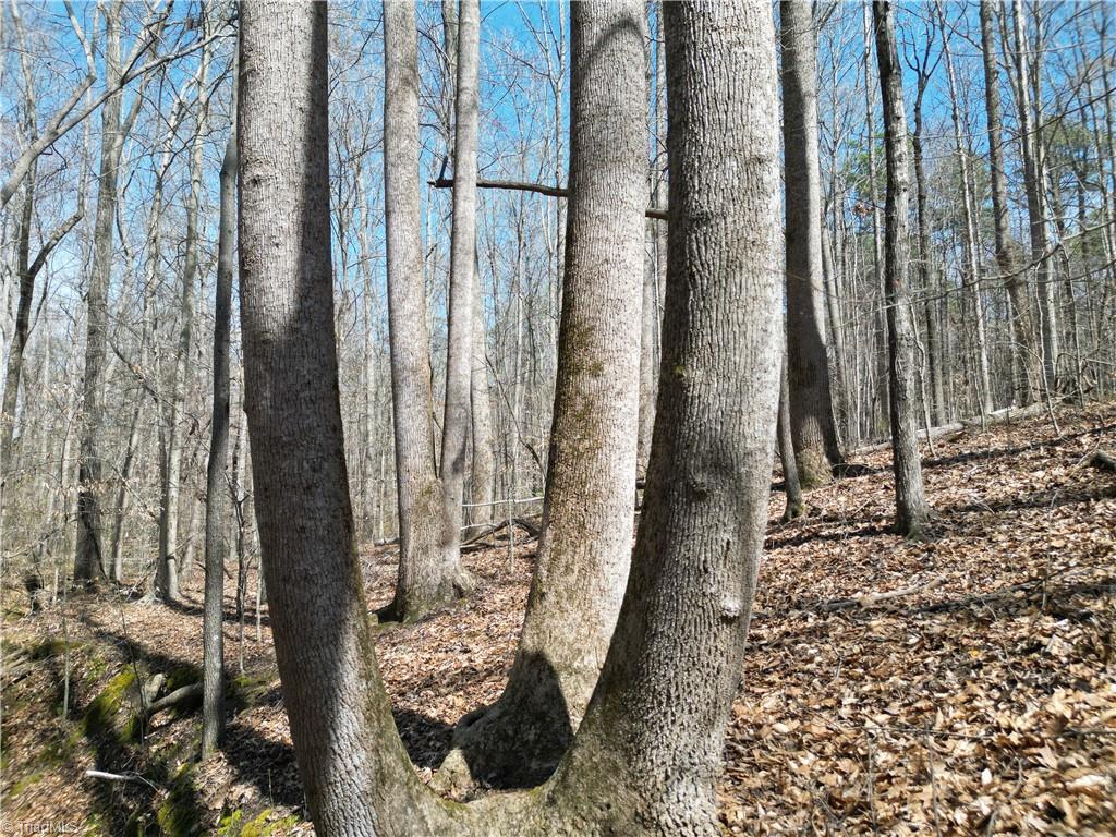 0 Tilden Nursery Road Lexington, NC 27295 - Photo 13 of 27