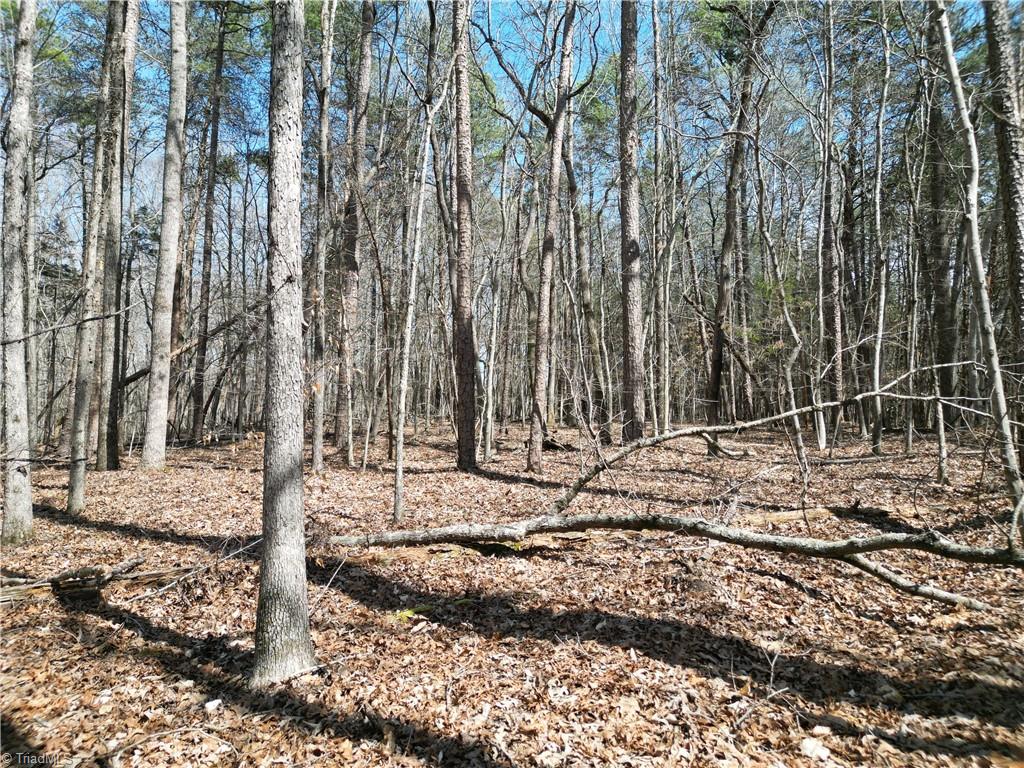 0 Tilden Nursery Road Lexington, NC 27295 - Photo 14 of 27