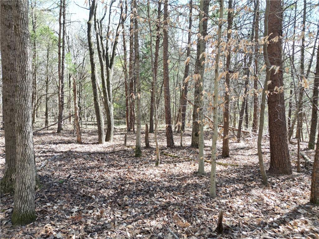 0 Tilden Nursery Road Lexington, NC 27295 - Photo 15 of 27