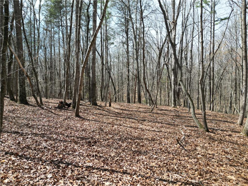 0 Tilden Nursery Road Lexington, NC 27295 - Photo 16 of 27