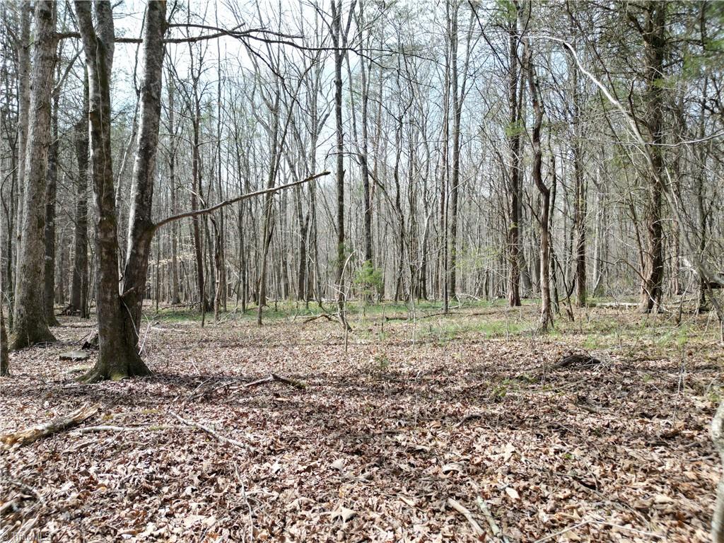 0 Tilden Nursery Road Lexington, NC 27295 - Photo 17 of 27