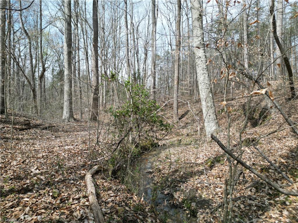 0 Tilden Nursery Road Lexington, NC 27295 - Photo 18 of 27