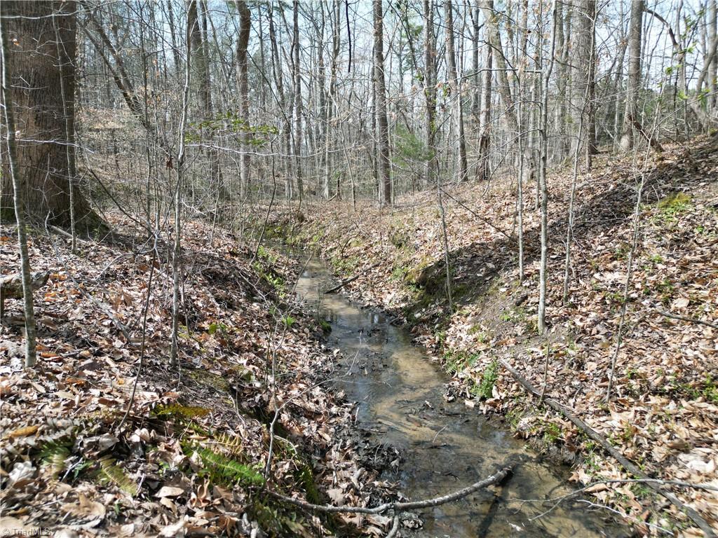 0 Tilden Nursery Road Lexington, NC 27295 - Photo 19 of 27