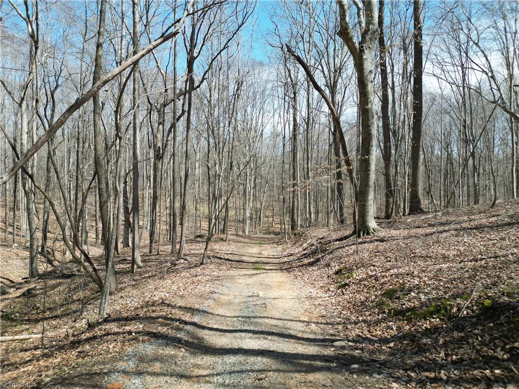 0 Tilden Nursery Road Lexington, NC 27295 - Photo 2 of 27